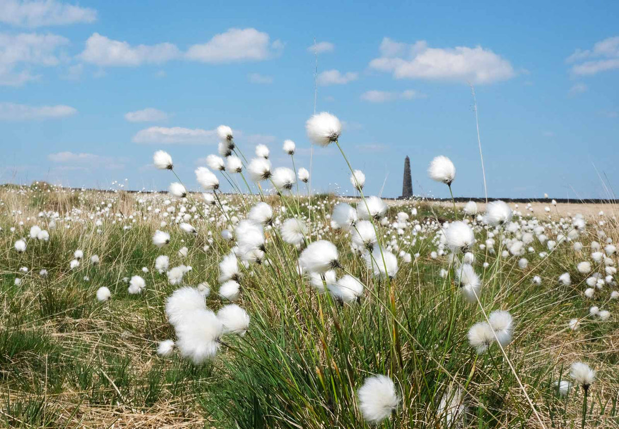 Hebden Bridge 2026 Calendar. Photographs & scenes from the West Yorkshire happy valley.