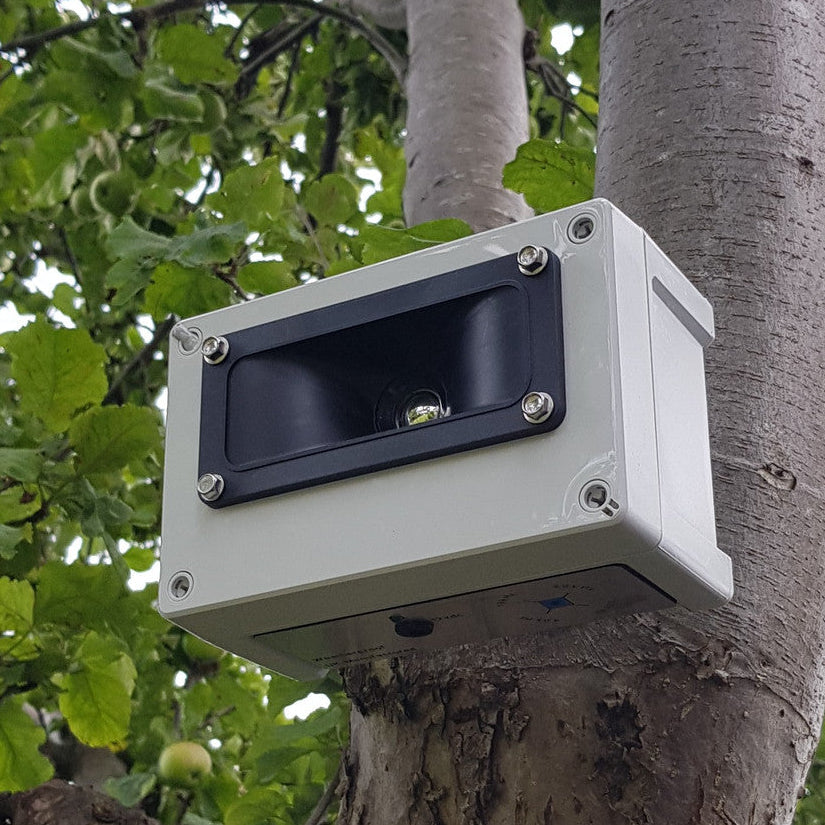 Sentinel ultrasonic bird repeller in a ree