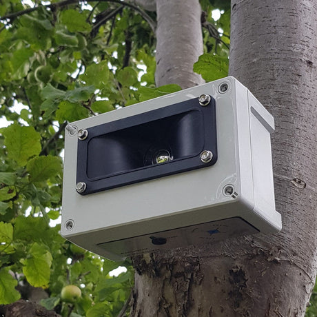Sentinel ultrasonic bird repeller in a ree
