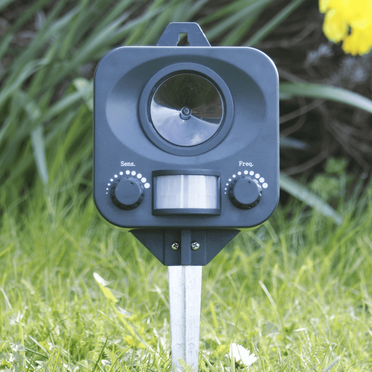PestBye Ultrasonic Cat, Fox & Dog Repeller with Adjustable Frequency ...